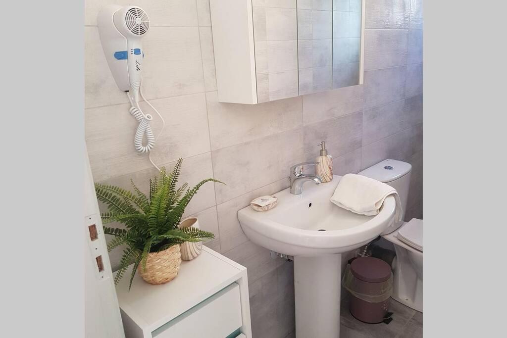 Ellis With Private Entrance And Veranda Apartamento
